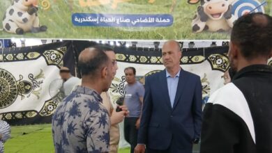توافد كثيف للمواطنين على مجازر المحافظة في أول أيام عيد الأضحى المبارك واستقبال 872 رأس ماشية