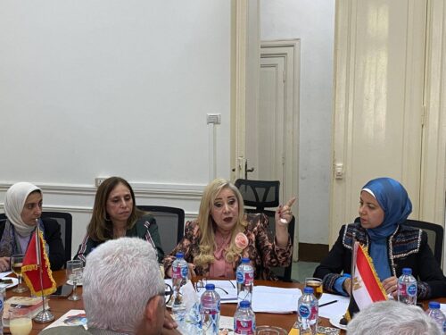 جمعية الصداقة المصرية الصينية تؤكد قواسم مشتركة وعمق العلاقات الأفريقية الصينية