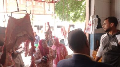 حملات مكبرة لمتابعة شوادر الأضاحي بأحياء الإسكندرية استعدادًا لعيد الأضحى المبارك