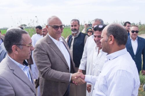 محافظ الإسكندرية تأمين المحاصيل الاستراتيجية ركيزة أساسية للأمن الغذائي