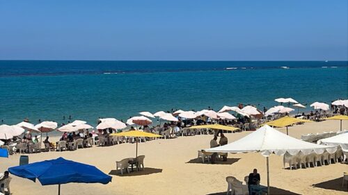 محافظ الإسكندرية يتابع ميدانياً انتظام الخدمات والشواطئ في أول أيام عيد الأضحى