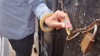 محافظ الإسكندرية يشدد على تكثيف حملات إزالة الإشغالات والتفتيش على الأسواق بالثغر