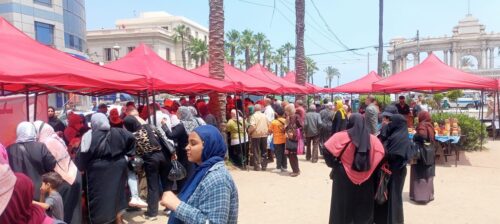 محافظة الإسكندرية تُكثّف إقامة أسواق اليوم الواحد بالمناطق المختلفة استعدادًا لعيد الأضحى المبارك