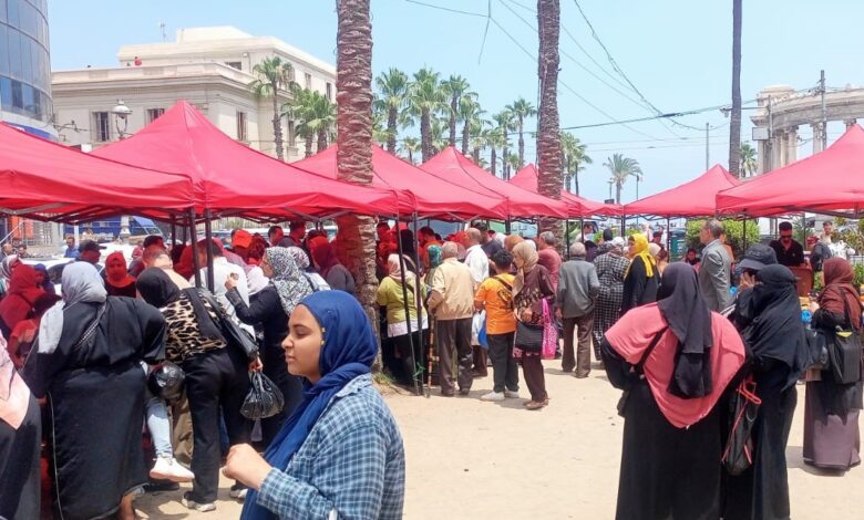 محافظة الإسكندرية تُكثّف إقامة أسواق اليوم الواحد بالمناطق المختلفة استعدادًا لعيد الأضحى المبارك