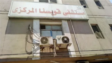 أم ونجليها لاقوا مصرعهم في حاد-ث تصادم توك توك وسيارة نقل بالمنوفية