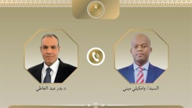 عبد العاطي يبحث مع سكرتير التجارة الحرة الأفريقية تعزيز التكامل الاقتصادي