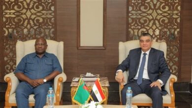 هشام ستيت يبحث مع سفير زامبيا توطين الصناعات الدوائية المصرية داخل زامبيا