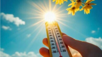 الطقس اليوم الخميس 18/6/2026.. أجواء حارة ورطوبة مرتفعة وشديد الحرارة علي جنوب البلاد .