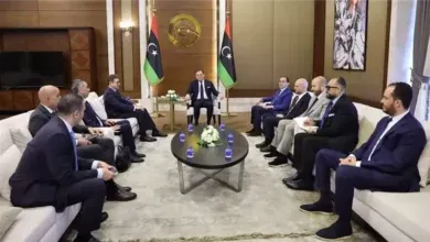 تحركات مصرية مكثفة لدعم التسوية السياسية في ليبيا
