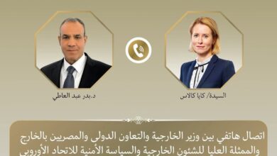 وزير الخارجية يبحث مع الممثلة العليا للشئون الخارجية التطورات الاقليمية