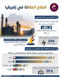 معلومات الوزراء: الغاز الطبيعي يستحوذ على 81.3% من إنتاج الكهرباء في مصر