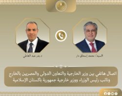 وزير الخارجية يبحث هاتفياً مع نظيره الباكستاني التطورات الإقليمية