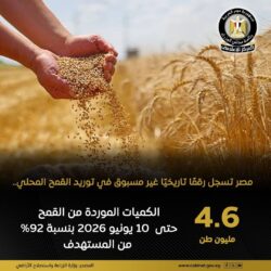 الزراعة:طفرة غير مسبوقة في توريد محصول القمح للموسم الحالي