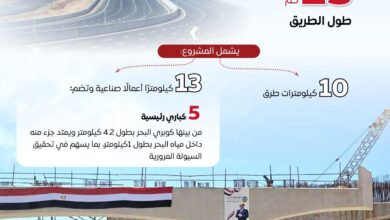 كفاءة