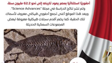 مصري يلفت أنظار العالم