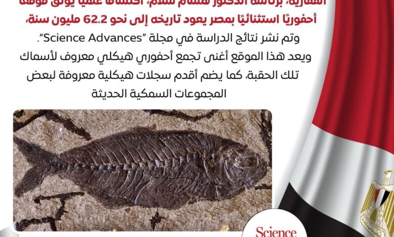 مصري يلفت أنظار العالم