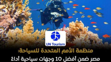 مصر شهدت زيادة في عدد السياح الوافدين في الربع الأول من عام 2026بنسبة 16%