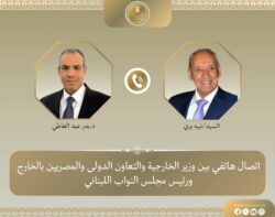 وزير الخارجية يبحث مع نبيه بري تطورات الأوضاع في لبنان