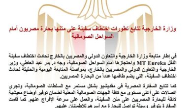وزارة الخارجية تتابع تطورات اختطاف سفينة على متنها بحارة مصريون أمام السواحل الصومالية