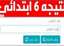 رابط نتيجة الصف السادس الابتدائي 2026 بالجيزة واستعلم عنها فور اعتمادها