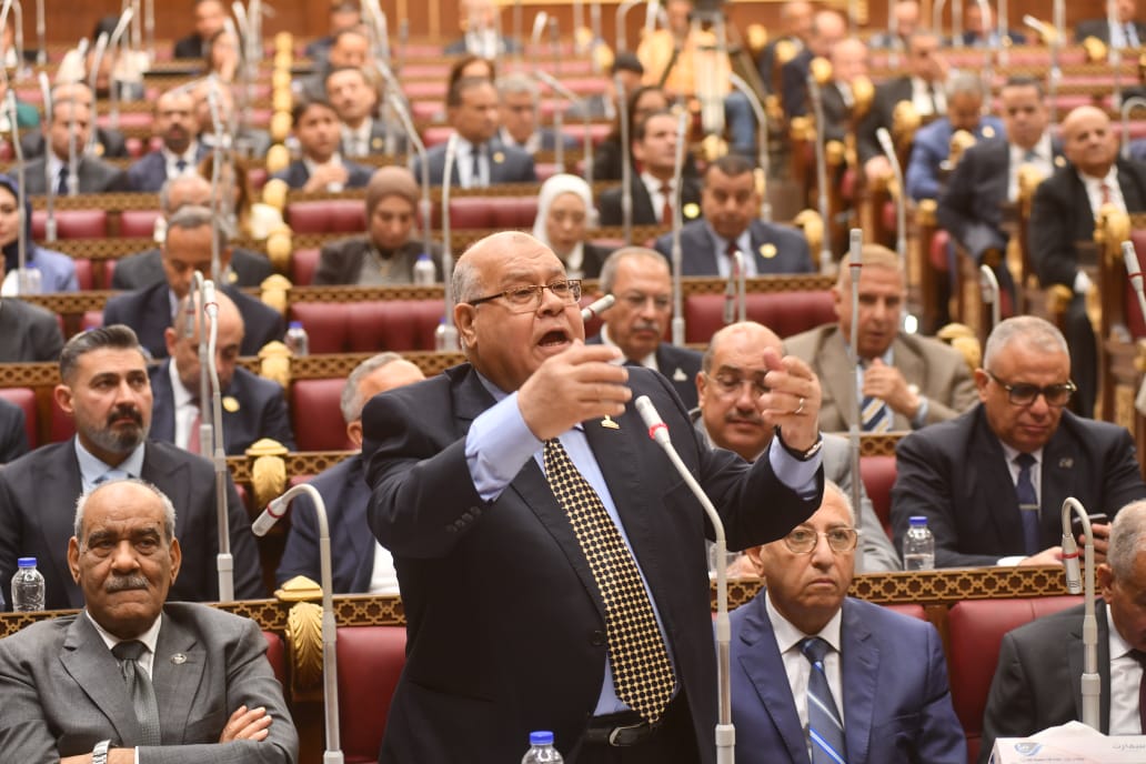 الشهابي: الدستور ألزم الحكومة بعرض "الخطة العامة للتنمية الاجتماعية والاقتصادية".. وليس "خطة التنمية الاقتصادية والاجتماعية"