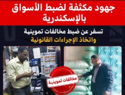 جهود مكثفة لضبط الأسواق بالإسكندرية