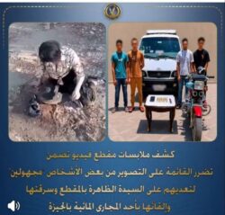 بعد تداول الواقعة.. الداخلية تضبط المتهمين وتكشف تفاصيل الاعتداء على سيدة بالجيزة كشفت وزارة الداخلية ملابسات مقطع فيديو متداول على مواقع التواصل الاجتماعي