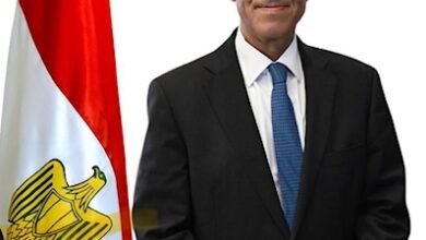 تحركات دبلوماسية مكثفة بالعلمين السبت المقبل