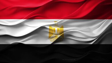 مصر تدين الاعتداء الإس-رائيلي على دورية تابعة للجيش اللبناني