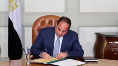 قرار جمهوري بالموافقة على قرض بقيمة 300 مليون دولار لتعزيز المرونة والرفاهية في مصر