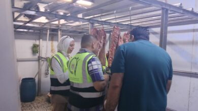 تموين الإسكندرية التحفظ على أكثر من 29 طنًا من الأغذية واللحوم والدواجن الفاسدة مجهولة المصدر