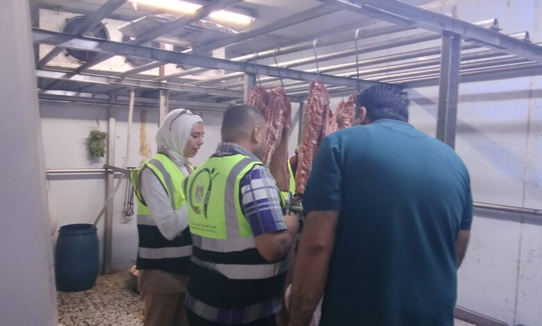 تموين الإسكندرية التحفظ على أكثر من 29 طنًا من الأغذية واللحوم والدواجن الفاسدة مجهولة المصدر