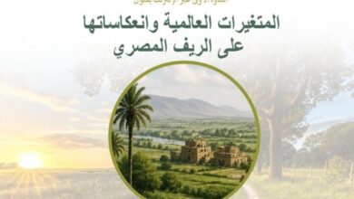 مكتبة الإسكندرية تطلق سلسلة ندوات الفضاءات الريفية العربية في عالم متغير