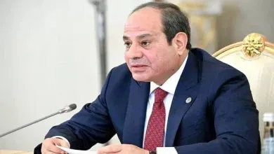 الرئيس السيسي أول تعليق على استهداف سفينتي دمياط بمسيرة