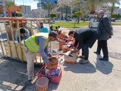 وزيرة التنمية المحلية: غلق 32 محلًا مخالفًا في حملات رقابية موسعة