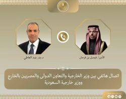 وزير الخارجية يبحث مع نظيره السعودي جهود خفض التصعيد في المنطقة.