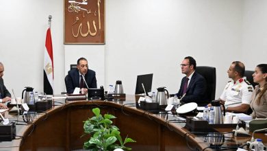 رئيس الوزراء يتابع خطة الحكومة لمواجهة ظاهرة الكلاب الضالة