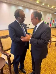 وزير الخارجية يلتقي الرئيس الصومالي على هامش القمة الاستثنائية الثانية
