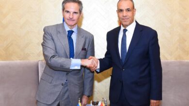 وزير الخارجية يلتقي المدير العام للوكالة الدولية للطاقة الذرية بمدينة العلمين