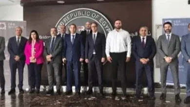 الرقابة المالية توافق مبدئيًا على مشروعين بالذكاء الاصطناعي في التأمين