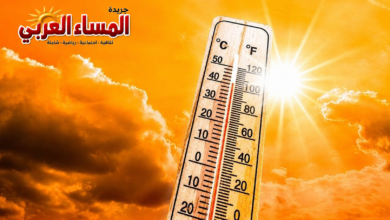 حالة الطقس غدا السبت 11 / 7 / 2026 في مدن ومحافظات مصر طقس مائل للحرارة.