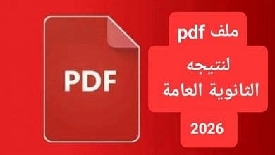 بعد انتشار ملفات PDF مزعومة.. التعليم: نتيجة الثانوية العامة لم تُعتمد بعد