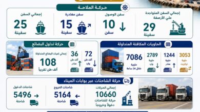 إنتظام حركتي التداول والملاحة بالهيئة العامة لميناء الإسكندرية خلال 24 ساعة