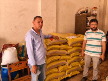 تموين الإسكندرية ضبط أكثر من 2 طن قمح محلى و31 بطاقة تموينية