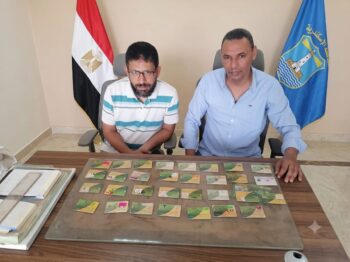 تموين الإسكندرية ضبط أكثر من 2 طن قمح محلى و31 بطاقة تموينية