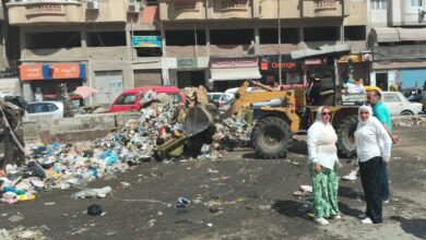 محافظ الإسكندرية حملات مكثفة بالأحياء لمواجهة النباشين والفريزة ورفع كفاءة النظافة العامة