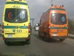 زوج يضرب حمام بالمسدس واولاده وزوجته