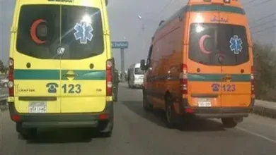 زوج يضرب حمام بالمسدس واولاده وزوجته