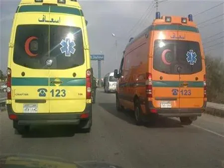 زوج يضرب حمام بالمسدس واولاده وزوجته