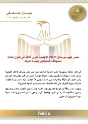 الخارجية تدعو الإعلام الأجنبي لتحري الدقة في تغطية حادث ميناء دمياط